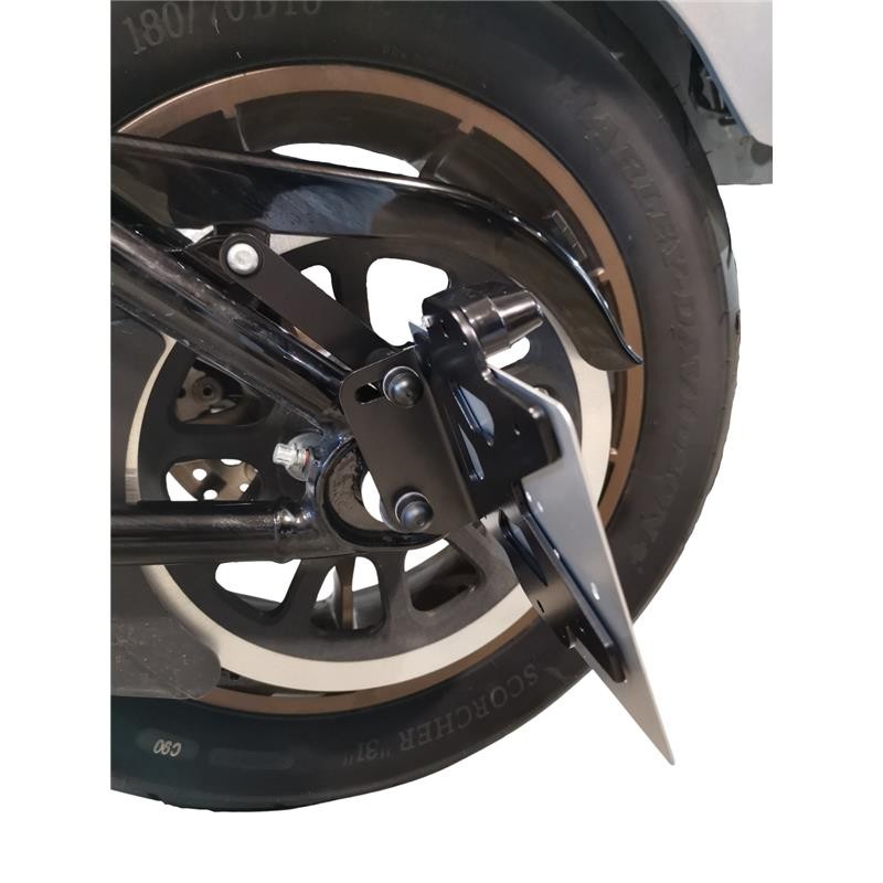 Support de plaque latéral Harley-Davidson FXLRS Low Rider S 117