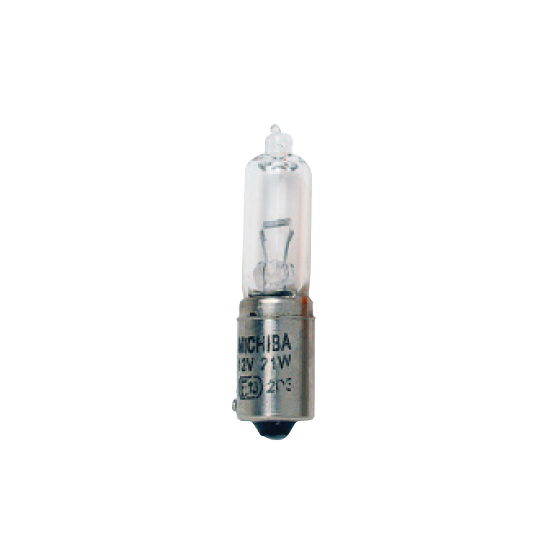 Ampoules 12V x 21W Blanche 28mm