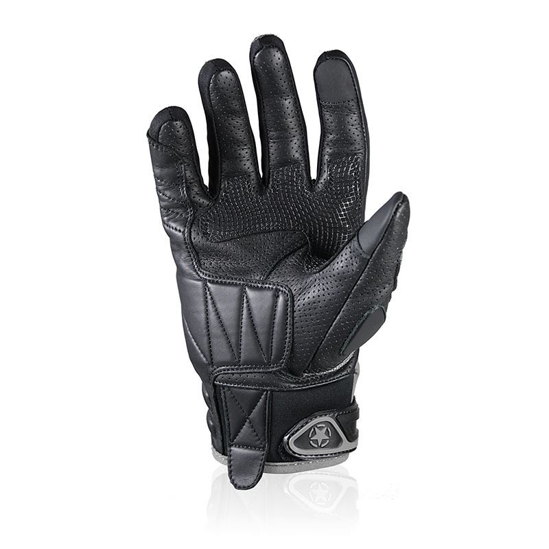 Gant Spy Gris Evo L