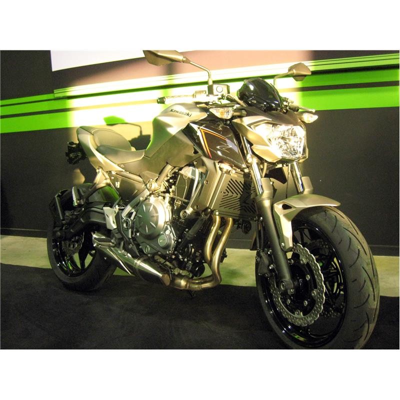 Grille de protection pour radiateur Kawasaki Z650 RS