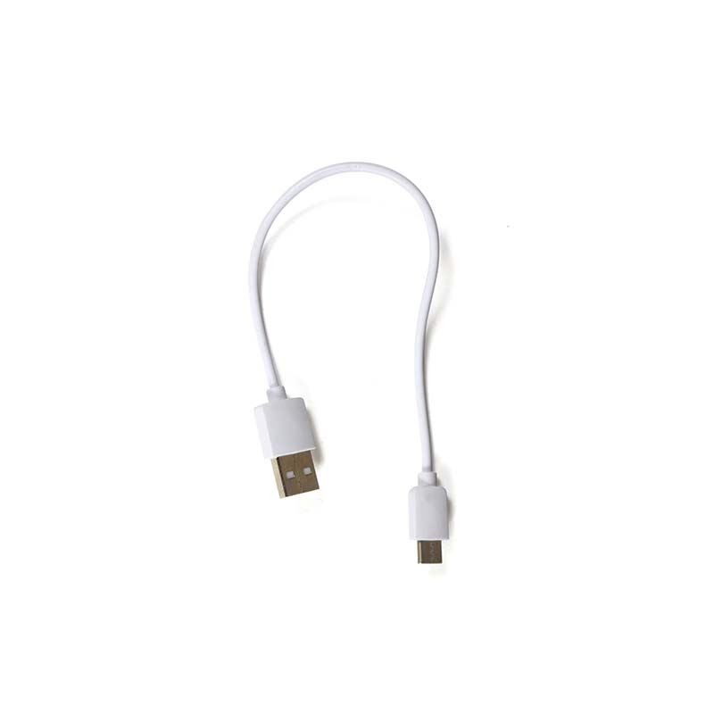 Booster de Démarrage 12000 mAh